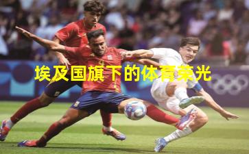  埃及国旗下的体育荣光