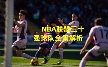 NBA联盟三十强球队全景解析