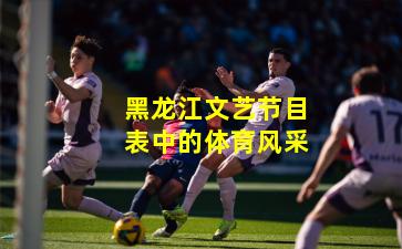 黑龙江文艺节目表中的体育风采