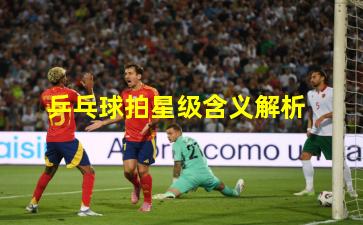 乒乓球拍星级含义解析